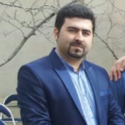 محمد مهدی زیوه ای